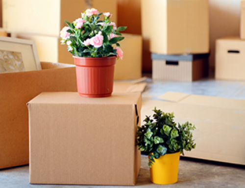 Moving? Renters Insurance is Only One of the Things You Need to Think About?